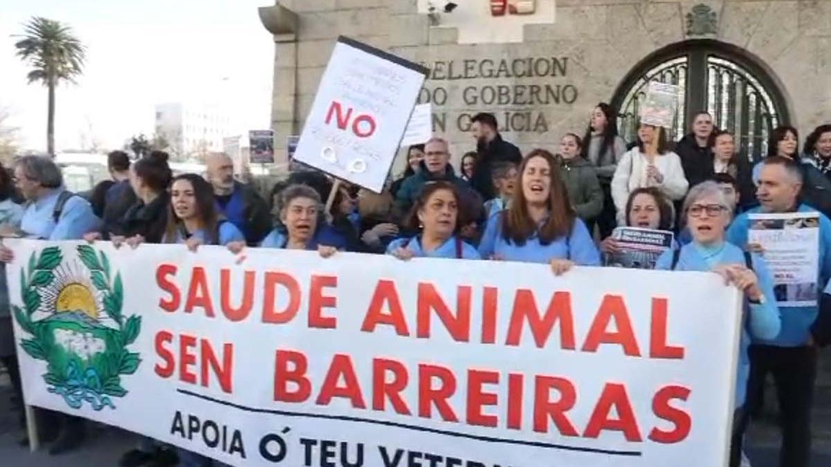 Protesta de veterinarios en A Coruña