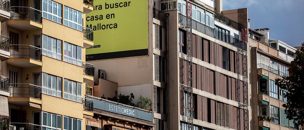 Mietverträge, Wohnraumgesetz, Handwerker - die neue Sonderbeilage Immobilien auf Mallorca
