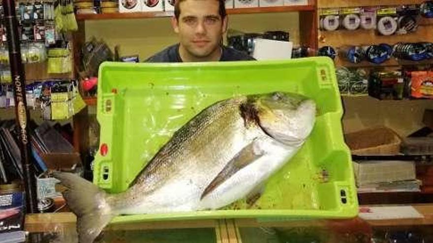 David Pedrayes, con la dorada de seis kilos pescada en Villaviciosa.