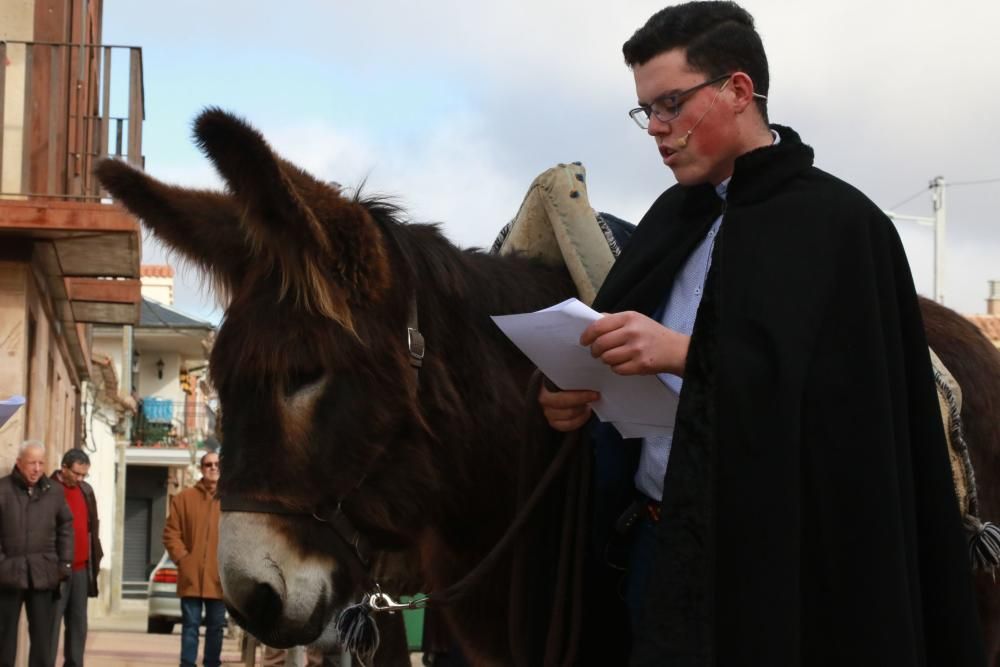 Celebración del día de san Antón en Monfarracinos.