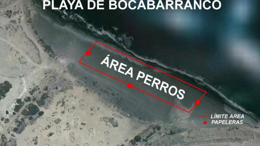 La primera playa para perros de Canarias está en Bocabarranco