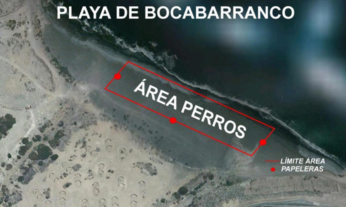 La primera playa para perros de Canarias está en Bocabarranco
