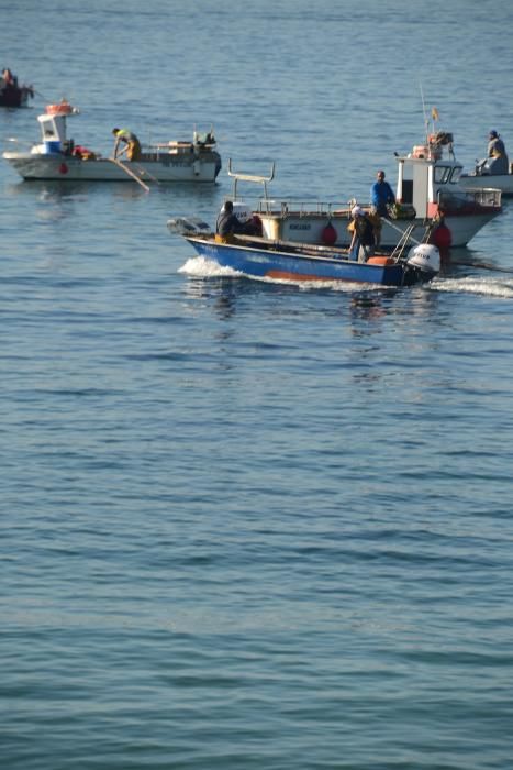 Rodeira salva el primer día del marisqueo a flote