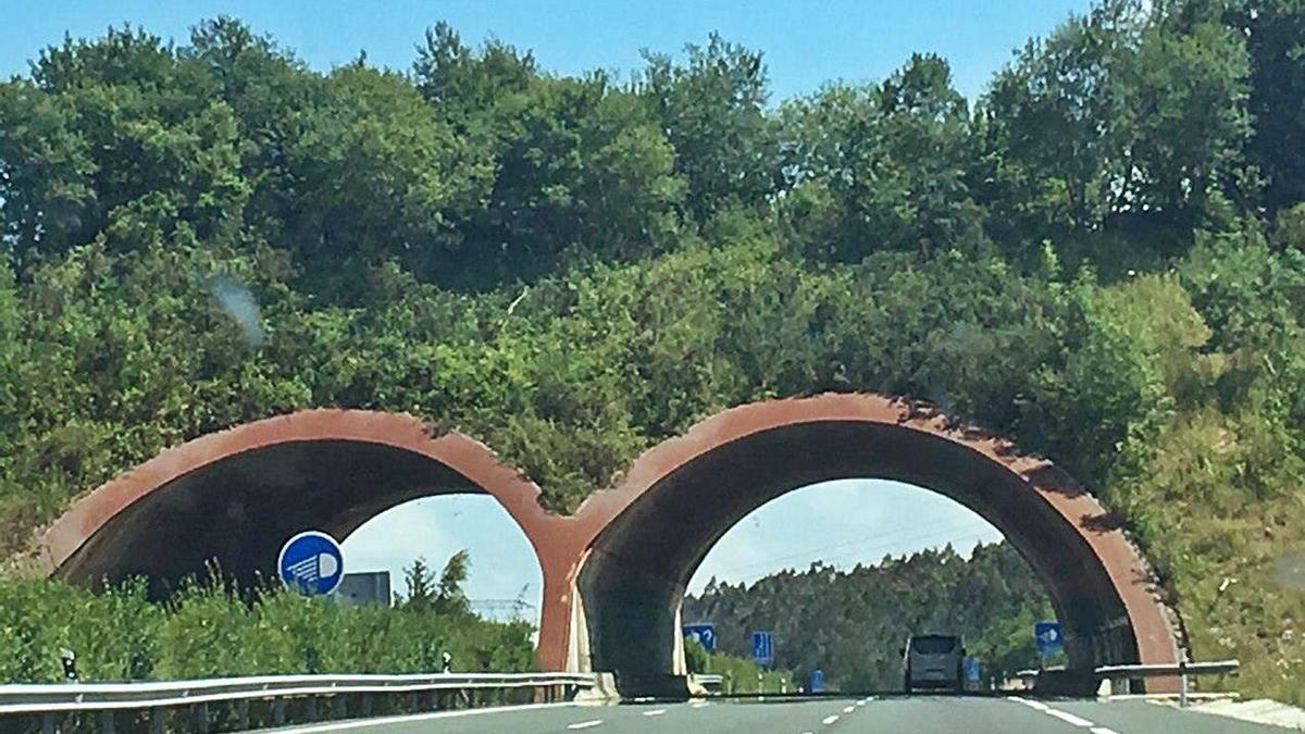 Ecoducto sobre la autovía A-66 en Asturias. | Cedida