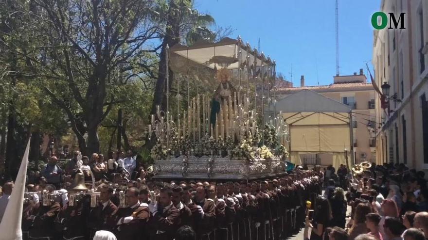 Domingo de Ramos | Dulce Nombre