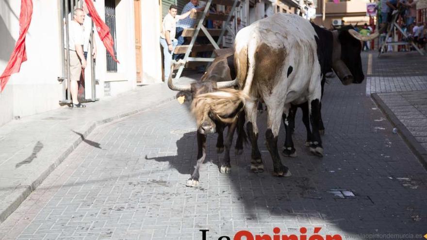 Primer encierro Moratalla