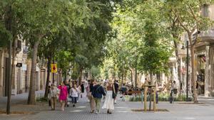 Ejes verdes en Barcelona