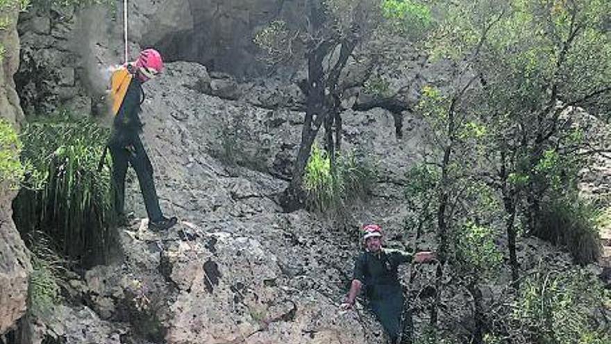 Salvamento de un caballo en Caimari.