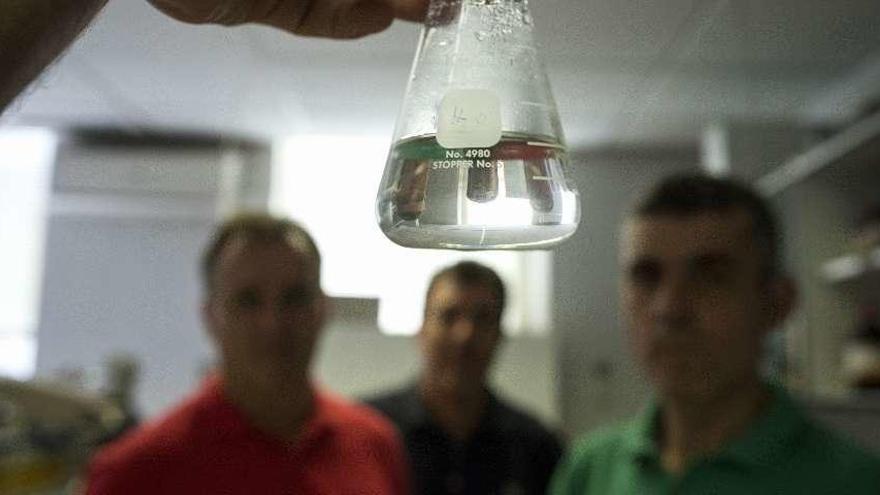 Claudio Cerdeiriña, Diego González y Jacobo Troncoso, en su laboratorio. // Brais Lorenzo