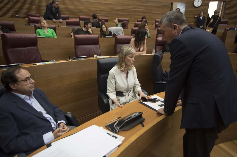 Segunda sesión del pleno de investidura de Puig