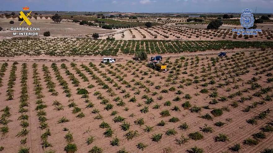 Seis detenidos por explotación laboral