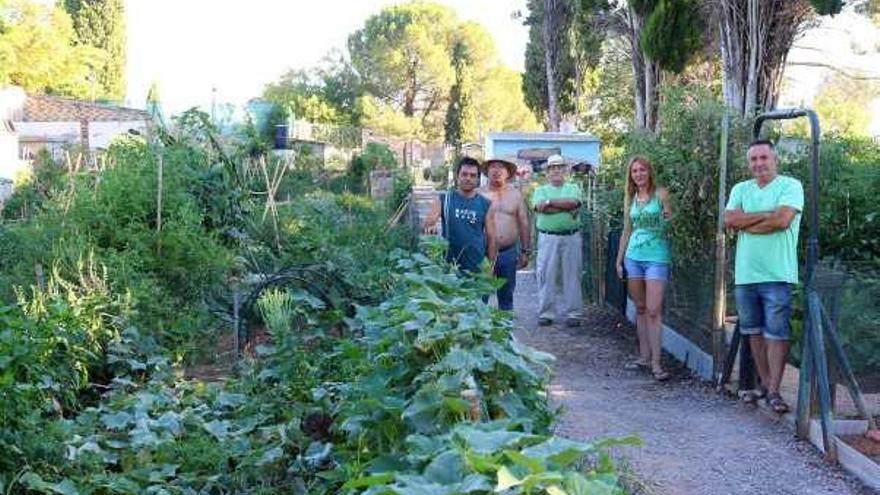 Imagen de varios agricultores de los huertos sociales.