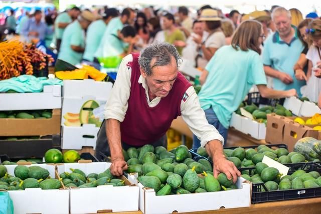 II Feria del Aguacate en Arguineguín