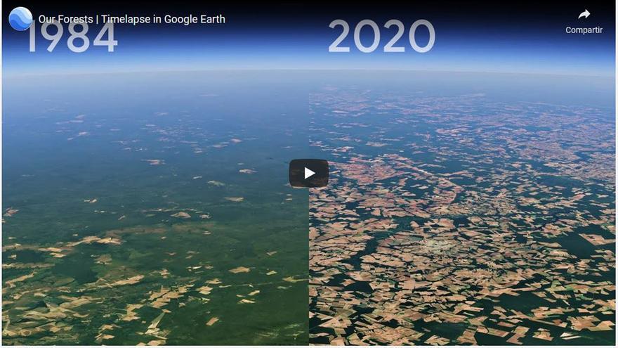 Impactante video: la deforestación del planeta vista desde el espacio