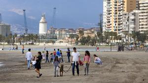 zentauroepp53238225 playa200426165525