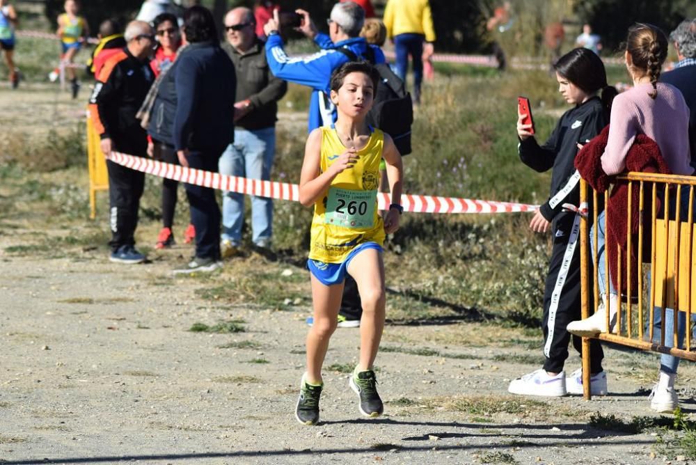 Cross Puerto Lumbreras (III)