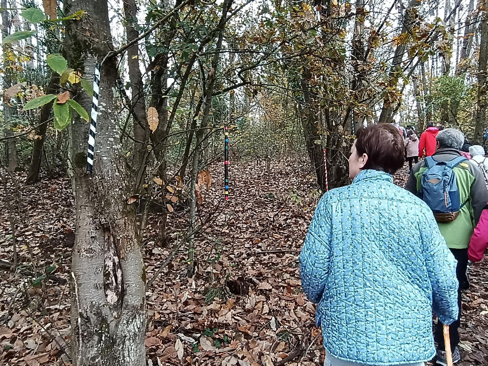 En imágenes: así fue el recorrido del III Belén de Cumbres