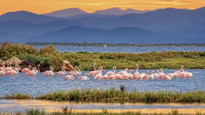 El espacio natural protegido perfecto para visitar en octubre