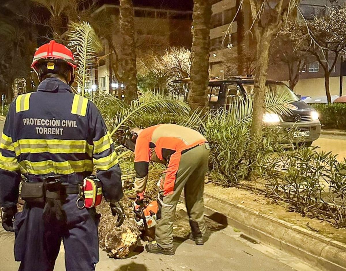 Caída de árbol en Torrent por el viento.