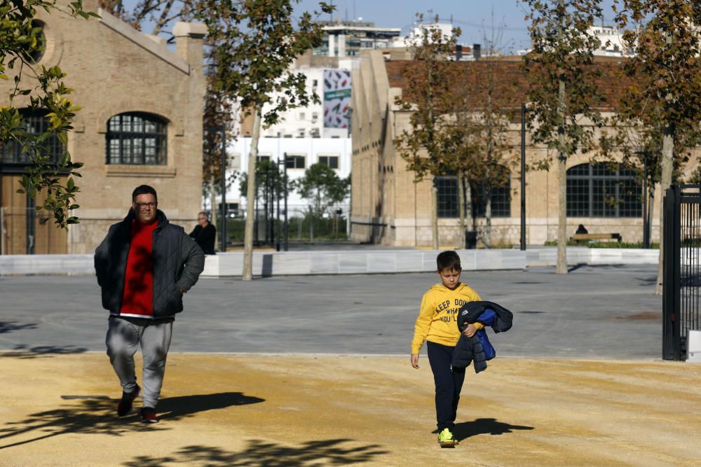 Abre el Parc Central de València