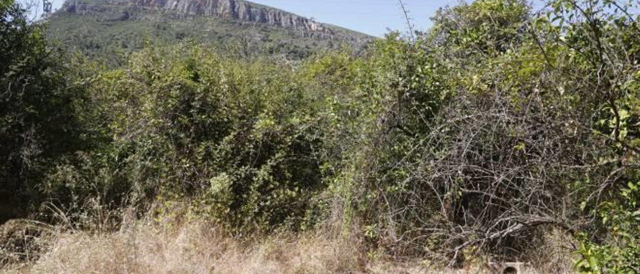 La finca municipal, un polvorín en el paraje natural de la Murta