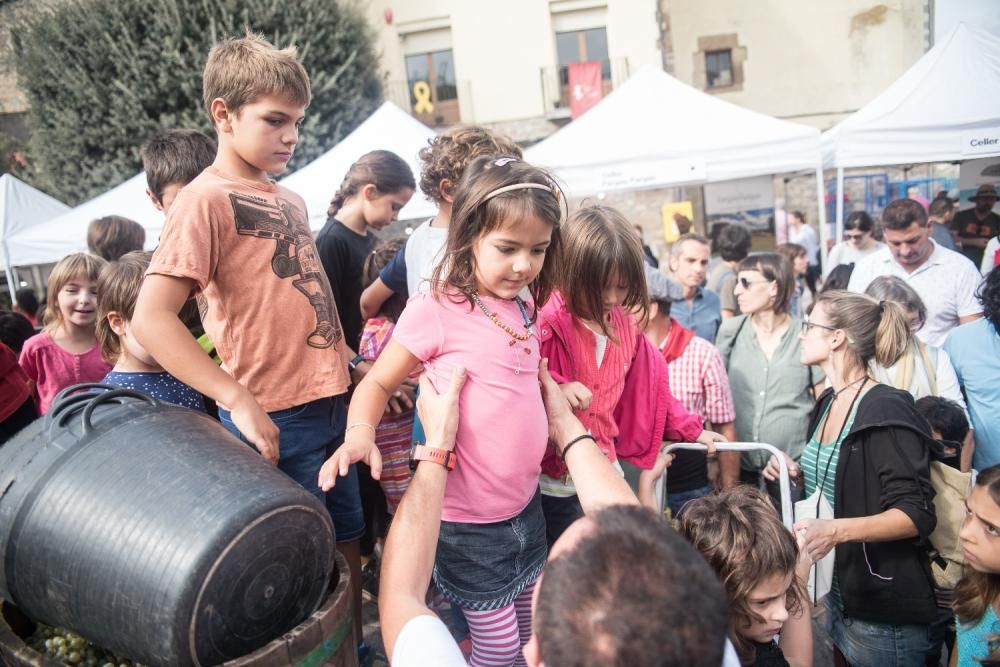 La Festa de la Verema del Bages