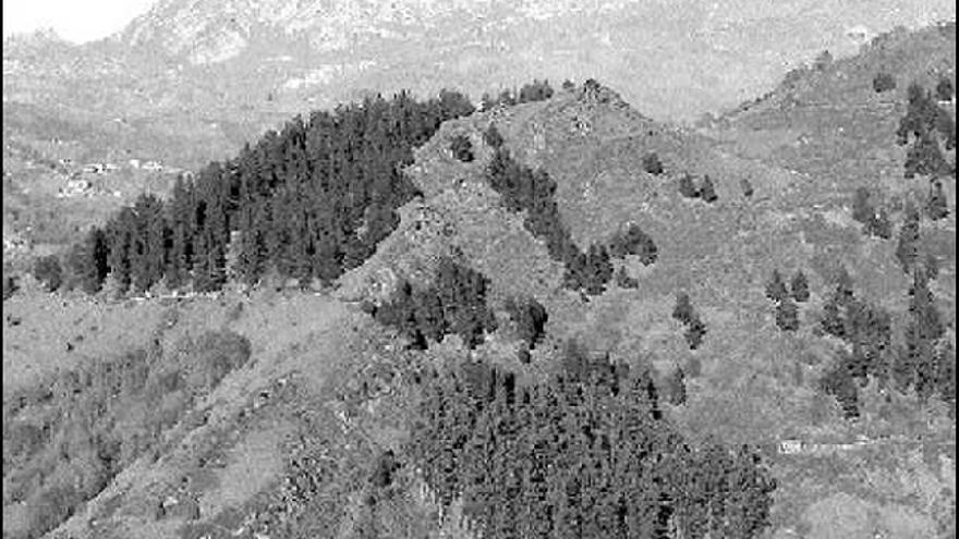 Uno de los montes de San Martín que será incluído en el coto de caza.