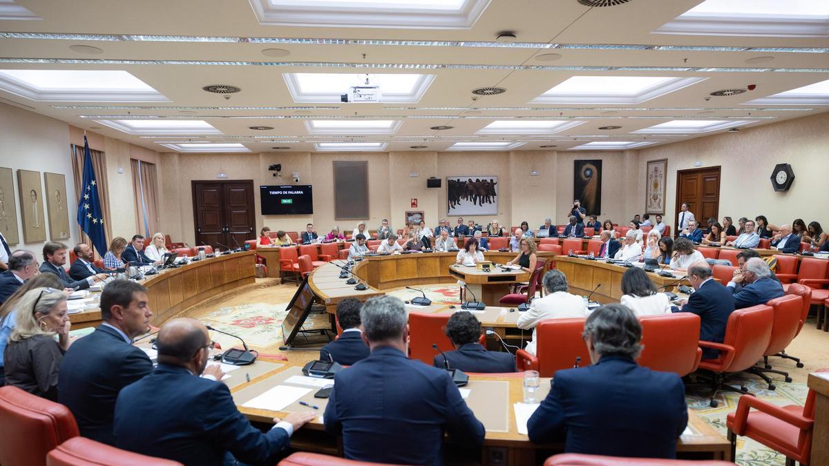 Reunión de la Diputación Permanente del Congreso de los Diputados