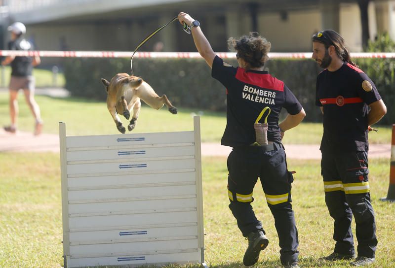 Feria Animalista en el cauce del Turia