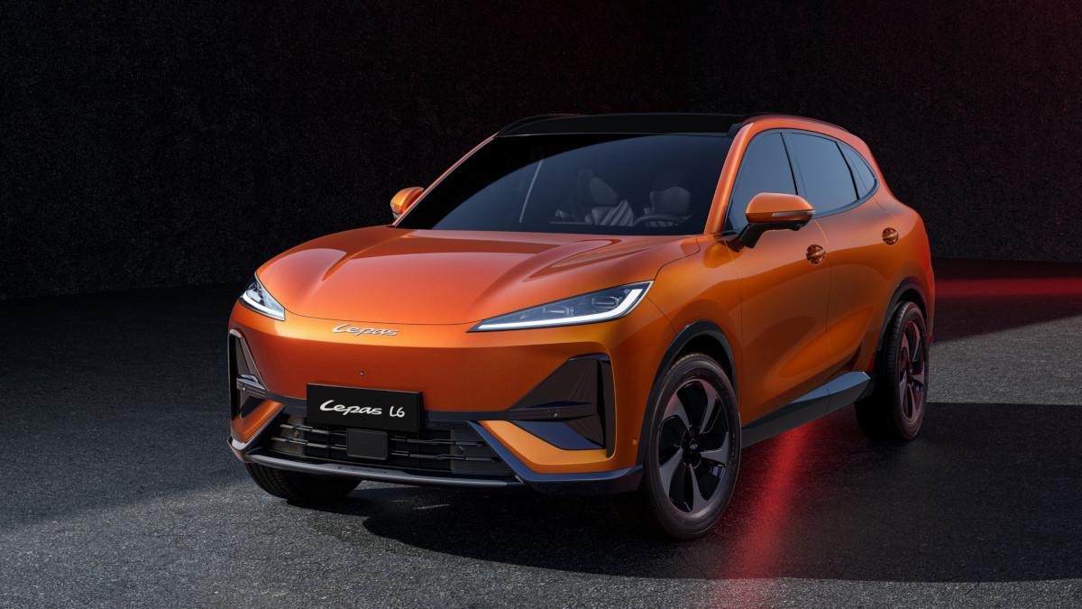 Nuevo Lepas L6