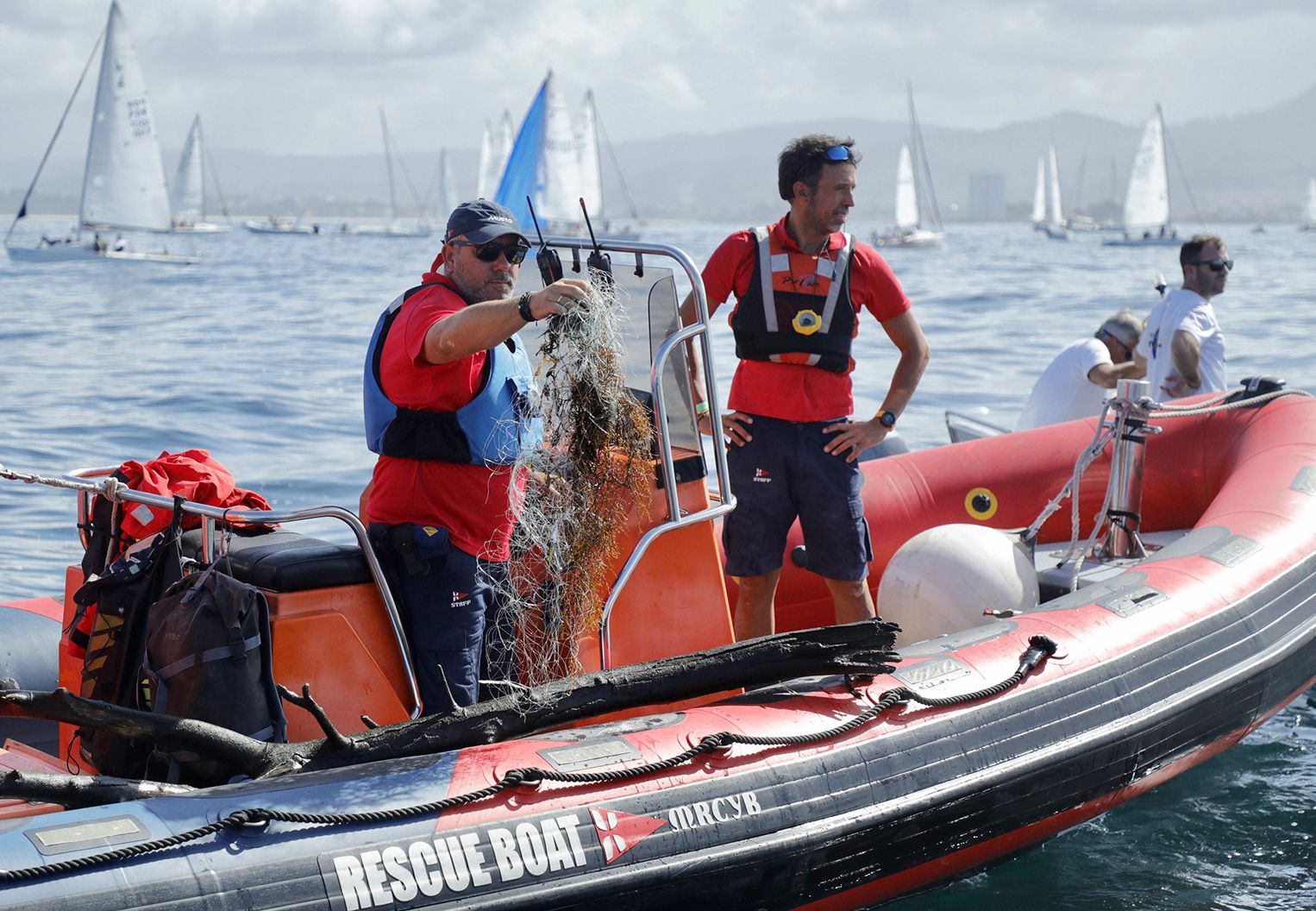 Los 'héroes' de Mundial de J80: liberan a un pequeño delfín atrapado en una red