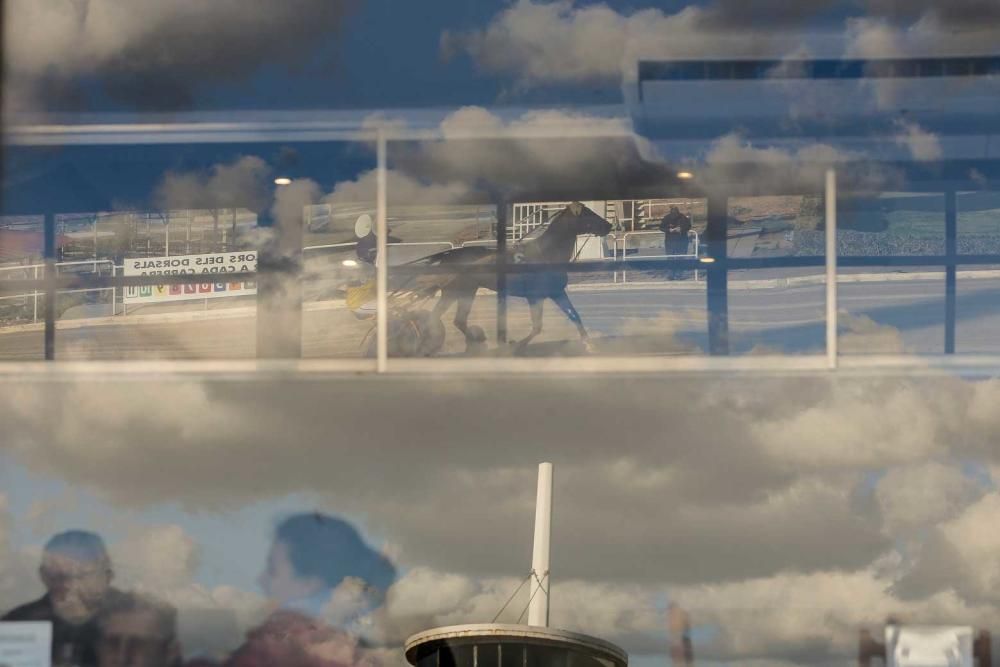 Ambiente en el hipódromo de Son Pardo