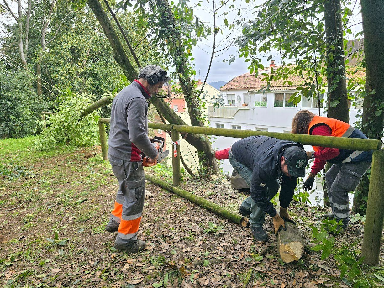 La tala de árboles en el Parque Valdés Bermejo para garantizar la seguridad ciudadana.
