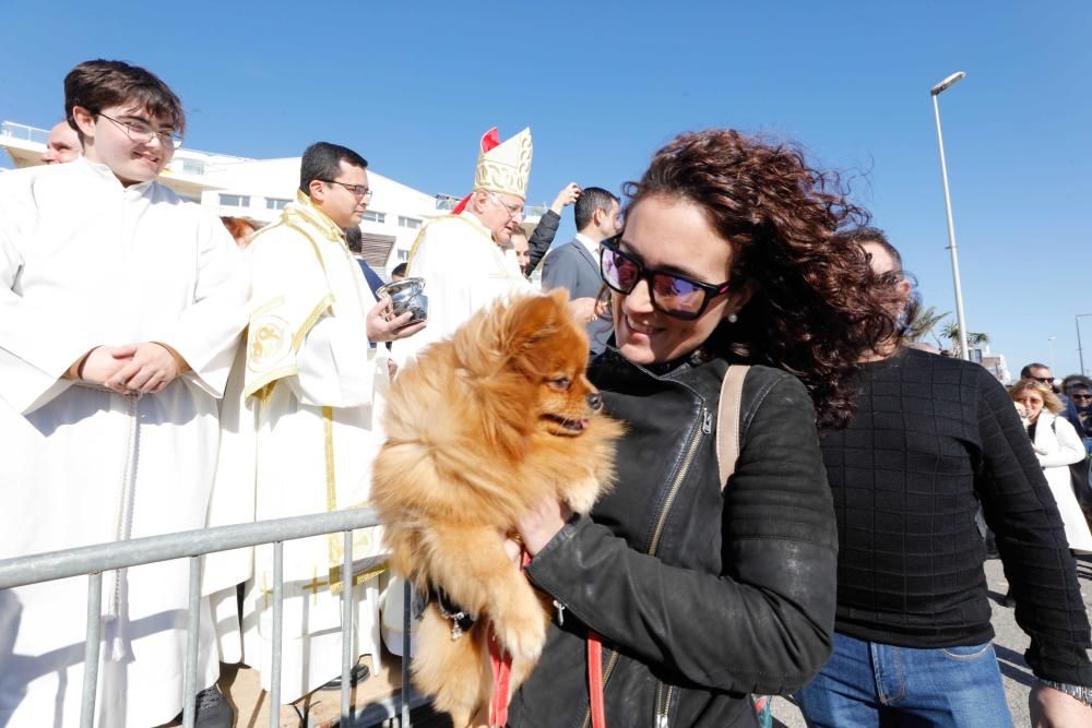 Día grande en Sant Antoni