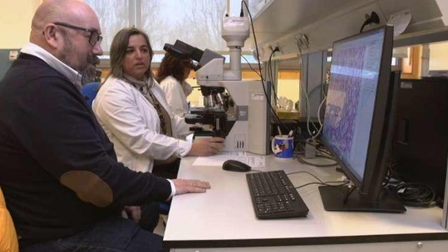 &#039;Pescadores de Historias&#039; visita el Instituto de Control do Medio Mariño de Galicia