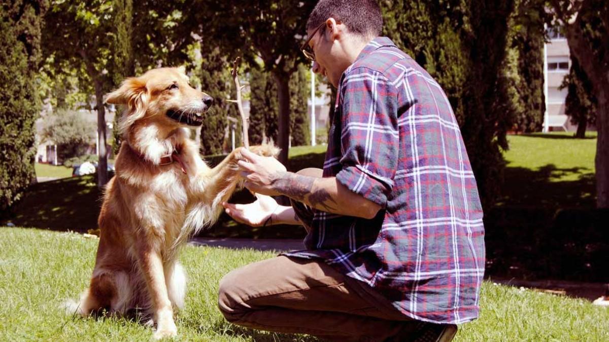 Si padeces depresión estas razas de perro podrían ayudarte a superarla