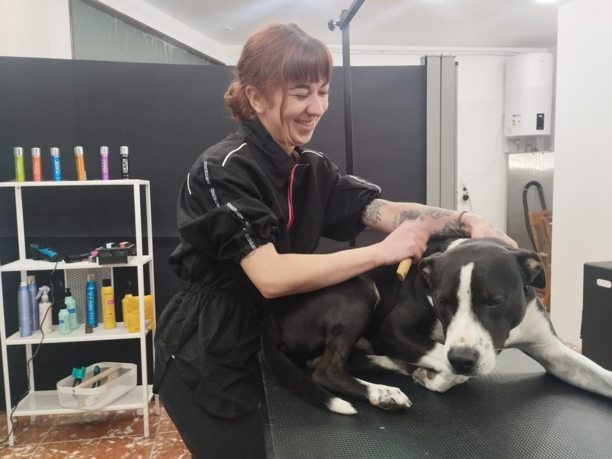La nueva peluquería canina de Grado, en imágenes