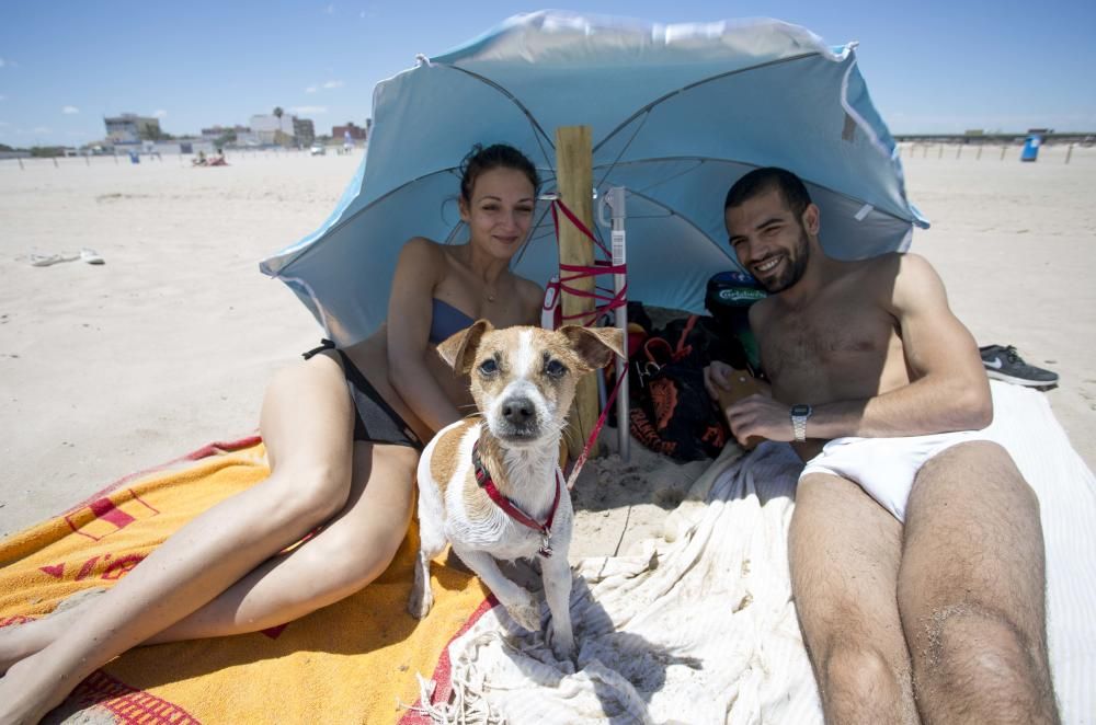 Primer día de la zona para perros en la playa de Pinedo