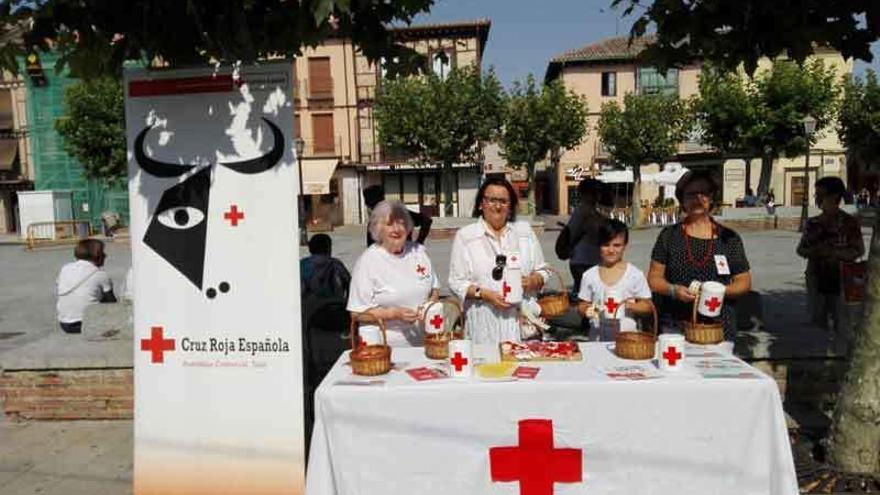 Cruz Roja recauda 1.565 euros con el Día de la Banderita