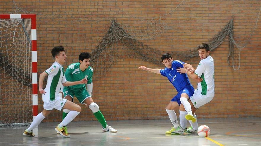 Córdoba Futsal y Adecor continuarán en la Honor juvenil