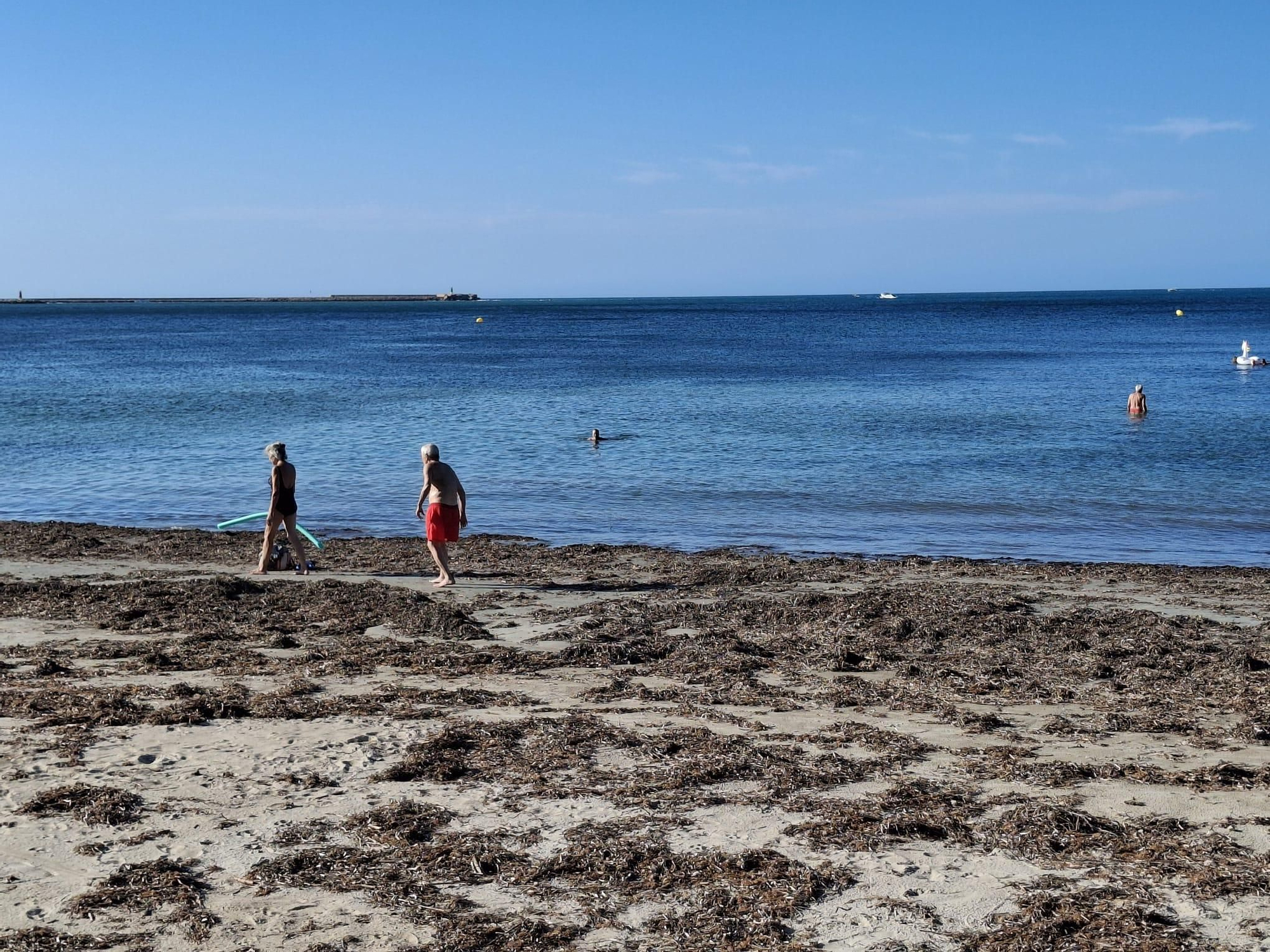 ¡Esto es vida!: manto de posidonia, aguas cristalinas y paz absoluta en la Marineta Cassiana de Dénia