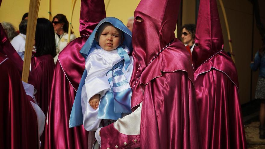 GALERÍA | Procesión de la Borriquita en Zamora