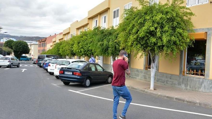 Telde talará los árboles que dañen las tuberías de abasto y agilizará la poda