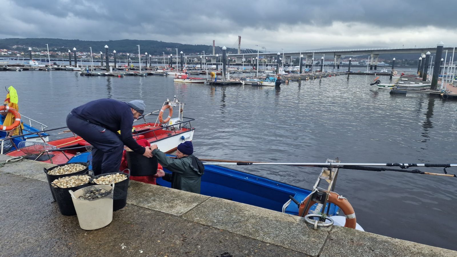 Así es el día a día en el puerto y la lonja de O Testal (Noia), donde cada vez se dan cita más mariscadores arousanos.