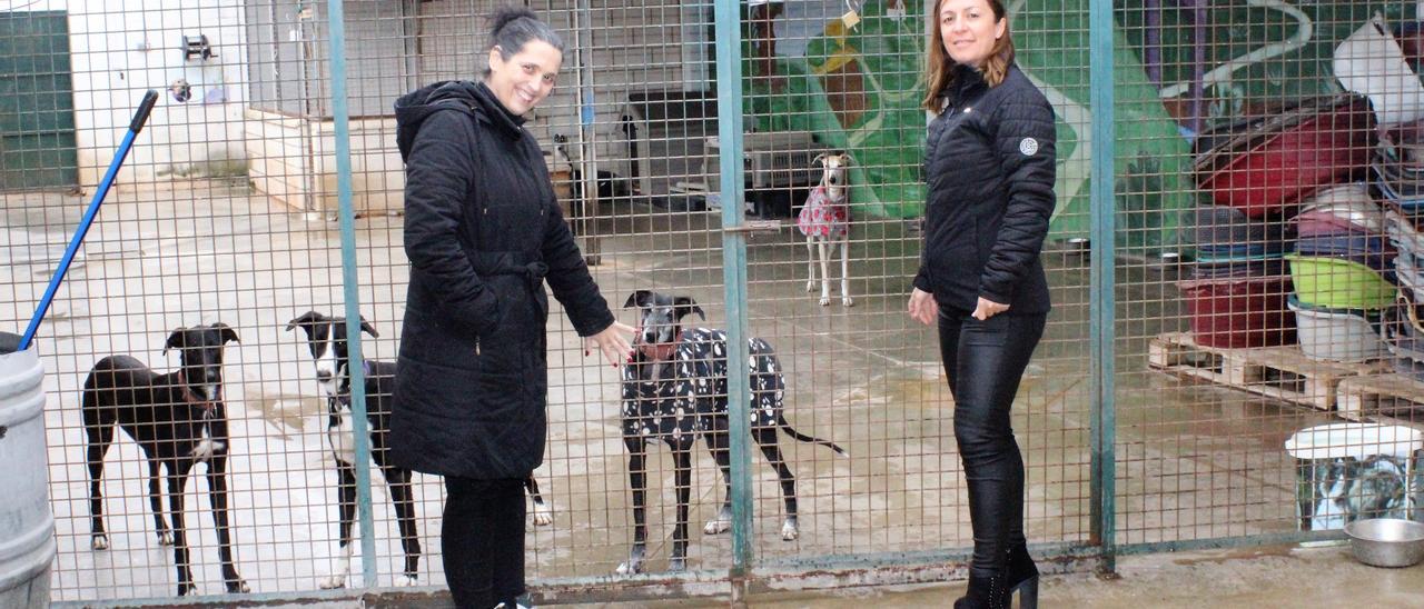 La concejala Juliana Megías, a la derecha, durante su visita a la perrera municipal.