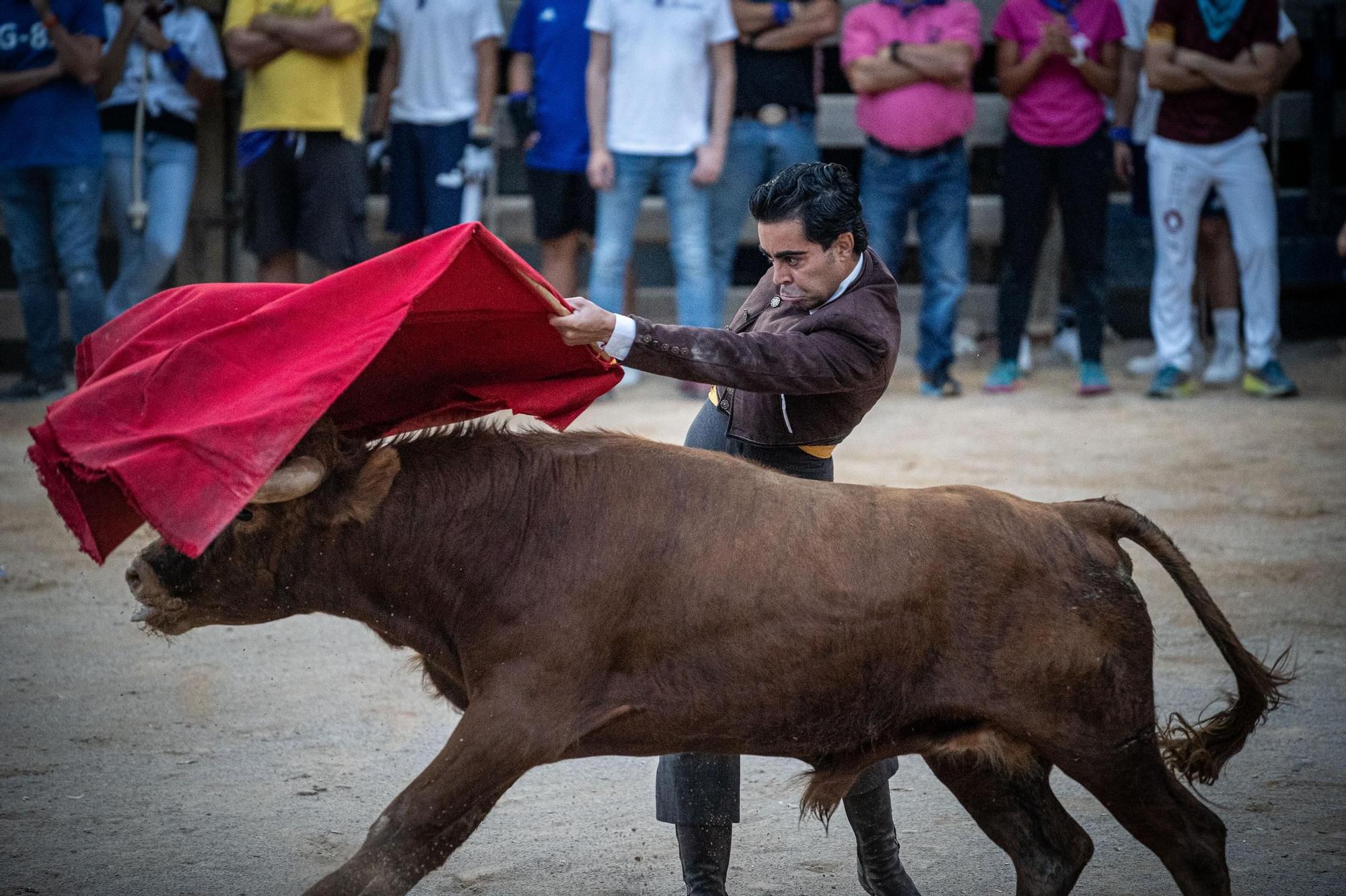 Les millors imatges del Correbous de Cardona