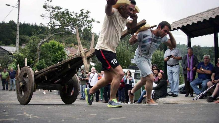 Dos corredores tiran del carro en Filgueira. // Bernabé/Luismy