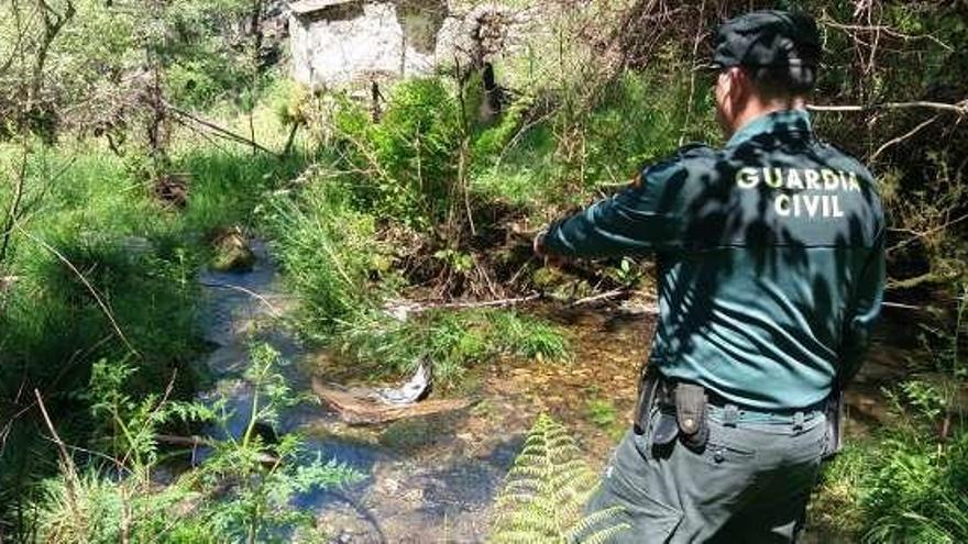 Un agente muestra el lugar donde fue localizada la mujer.