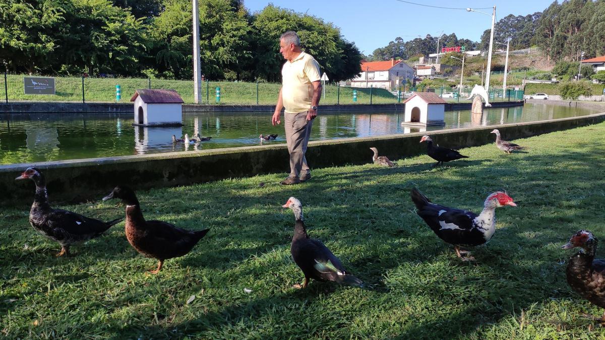 Carteles en un parque de Lourido para proteger a los patos del estanque