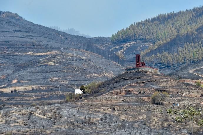 11-08-2019 Artenara. Segundo día del incendio en la cumbre  | 11/08/2019 | Fotógrafo: Andrés Cruz